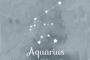 Aquarius Constellation Period : February 16th to March 11th.