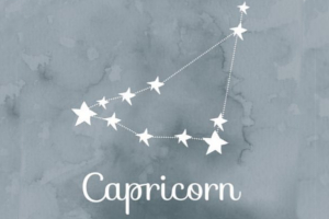 Capricorn Constellation Period : January 19th to February 15th.