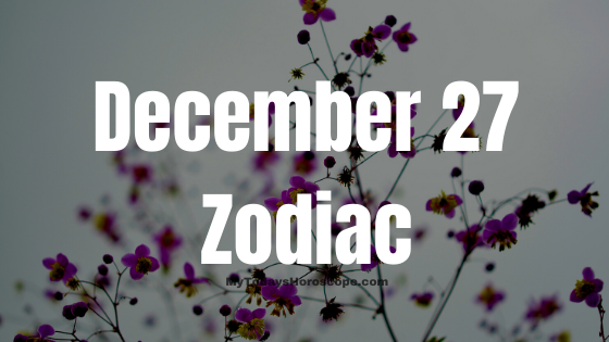 December 27 Capricorn Zodiac Sign Horoscope