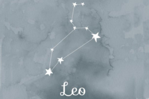 Leo Constellation Period : August 10th to September 15th.