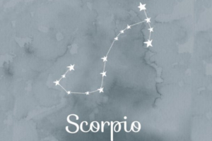 Scorpio Constellation Period : November 23rd to November 28th.