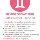 Gemini zodiac sign twins