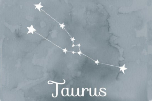 Taurus Constellation Period : May 13th to June 20th.