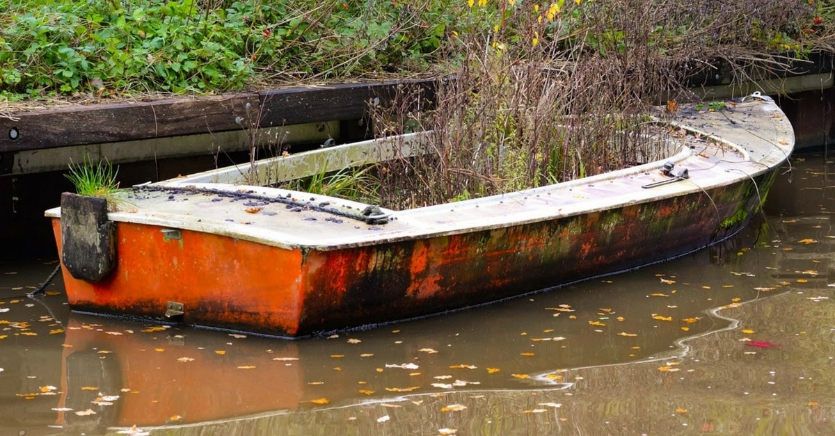 Dream of muddy water