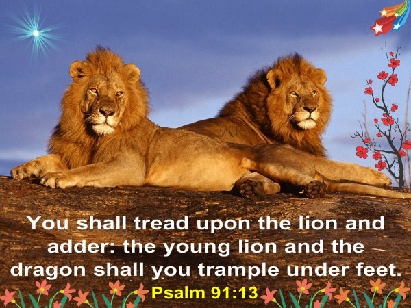 VERSE 13 WITH YOUR FEET YOU WILL CRUSH LIONS AND SNAKES KJV