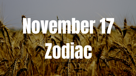 November 17 Scorpio Zodiac Sign Birthday Horoscope