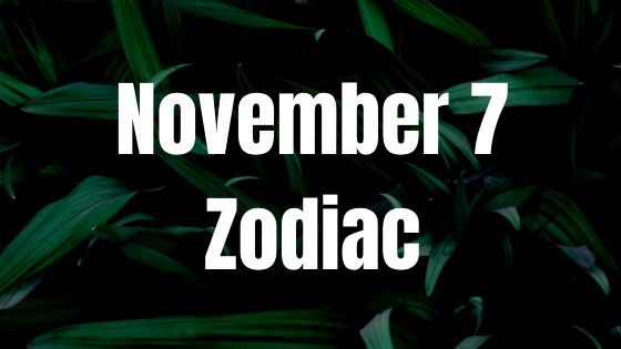 November 7 Scorpio Zodiac Sign Birthday Horoscope