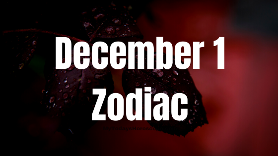 December 1 Sagittarius Zodiac Sign Birthday Horoscope