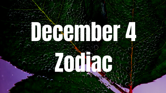 December 4 Sagittarius Zodiac Sign Horoscope