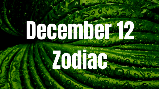 December 12 Sagittarius Zodiac Sign Horoscope