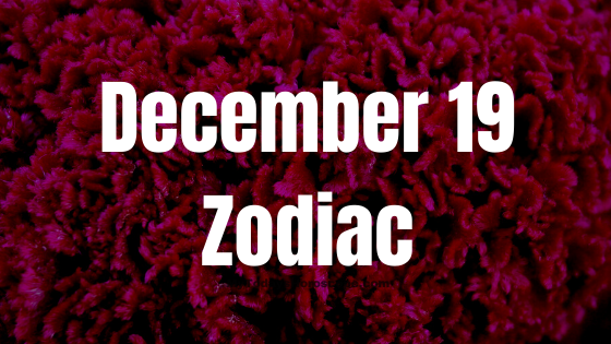 December 19 Sagittarius Zodiac Sign Horoscope