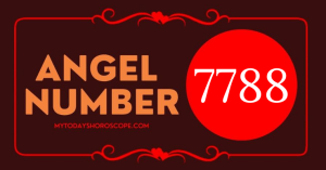 Angel Number 7788