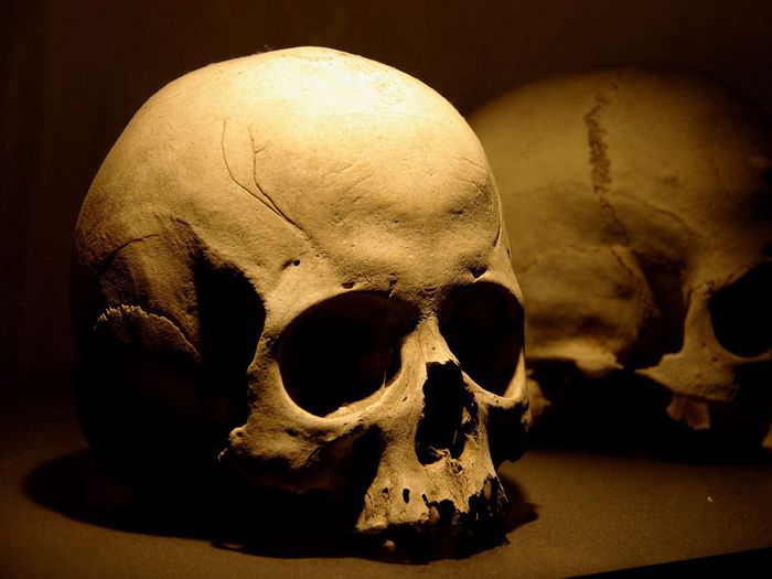 Spiritual Biblical Meaning of Skull in a Dream in Christianity