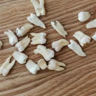 Spiritual Biblical Meaning of Molars in a Dream