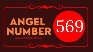 Angel Number 569