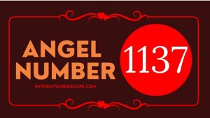 Angel Number 1137