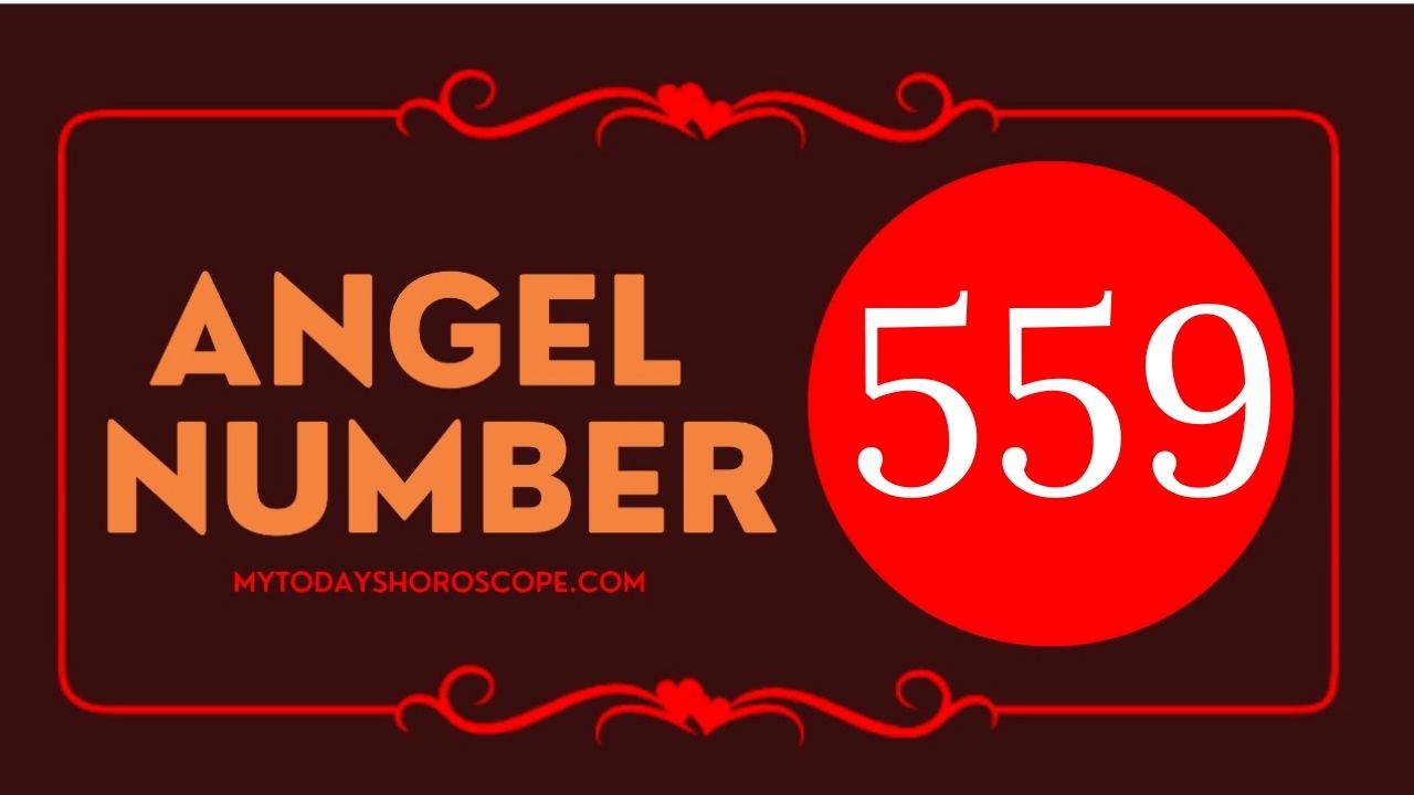 Angel Number 559 Meaning: Love, Twin Flame Reunion, and Luck