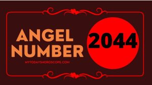 Angel Number 2044