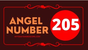 Angel Number 205