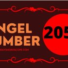 Angel Number 2055