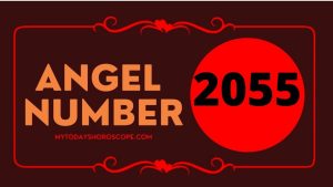 Angel Number 2055