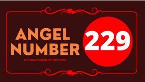 Angel Number 229