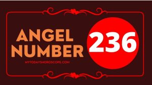 Angel Number 236