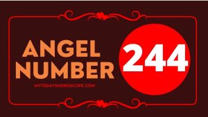 Angel Number 244