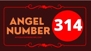 Angel Number 314