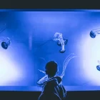 Spiritual Biblical Meaning of Aquarium in a Dream