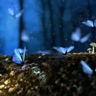 Spiritual Biblical Meaning of Butterfly in a Dream