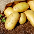 Spiritual Biblical Meaning of Potatoes in a Dream