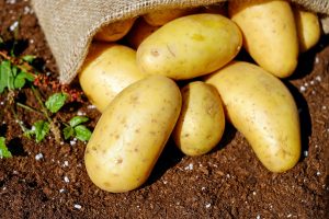 Spiritual Biblical Meaning of Potatoes in a Dream