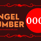 Angel Number 0000