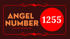 Angel Number 1255