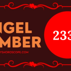 Angel Number 2333