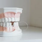 Spiritual Biblical Meaning of Teeth Falling Out in a Dream