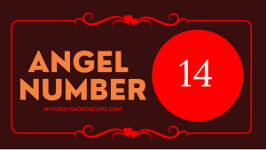 Angel Number 14