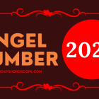 Angel Number 2020