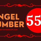 Angel Number 556