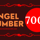 Angel Number 7007