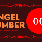 Angel Number 00
