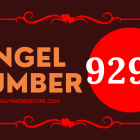 Angel Number 9292