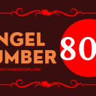 Angel Number 800