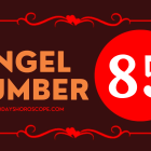Angel Number 85