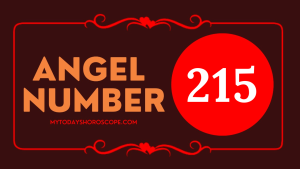 Angel Number 215