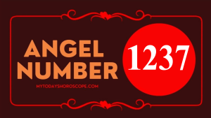 Angel Number 1237 Meaning in Love, Twin Flame Reunion and Separation