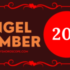 Angel Number 202