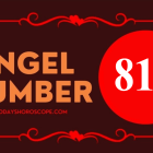 Angel Number 817 Meaning in Love, Twin Flame Reunion and Separation