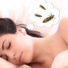 Spiritual Biblical Meaning of Lice in a Dream
